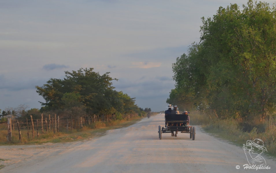 Mennoniten